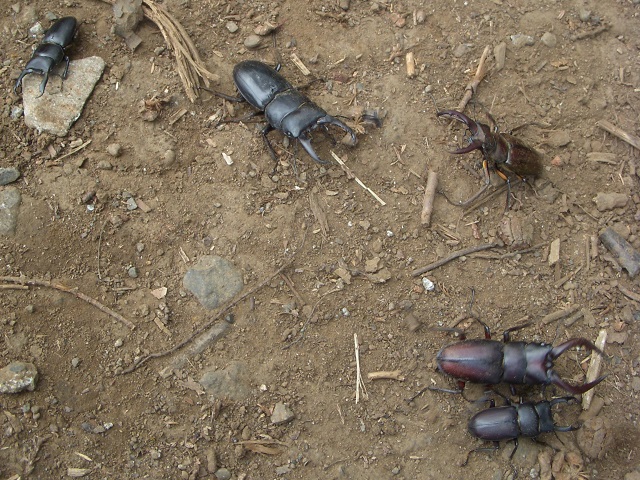 �q���^�E�~���}�E�m�R�M���E�R2