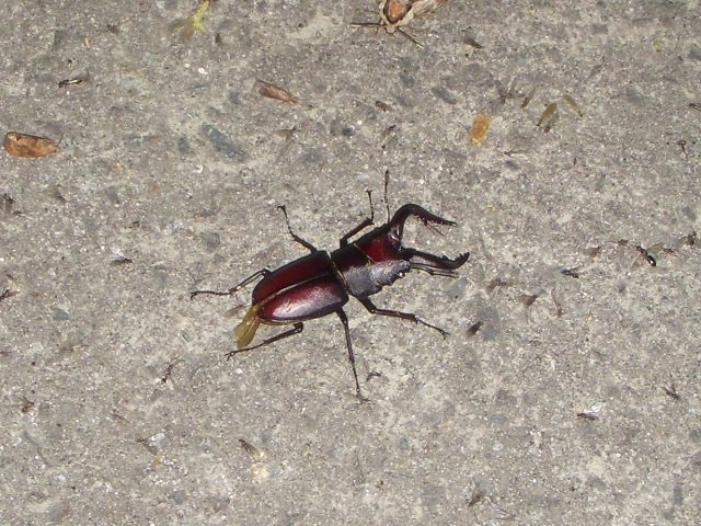 �m�R�M����