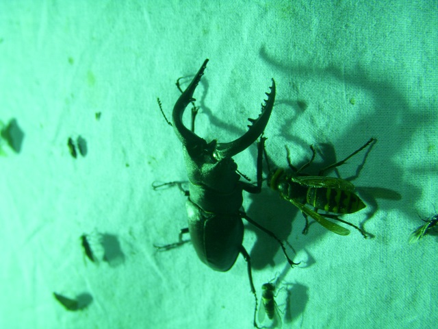 �m�R�M����