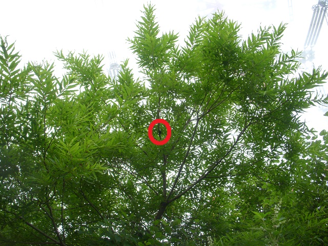 �q���I�I�y�A