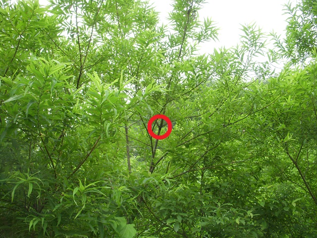 �q���I�I��