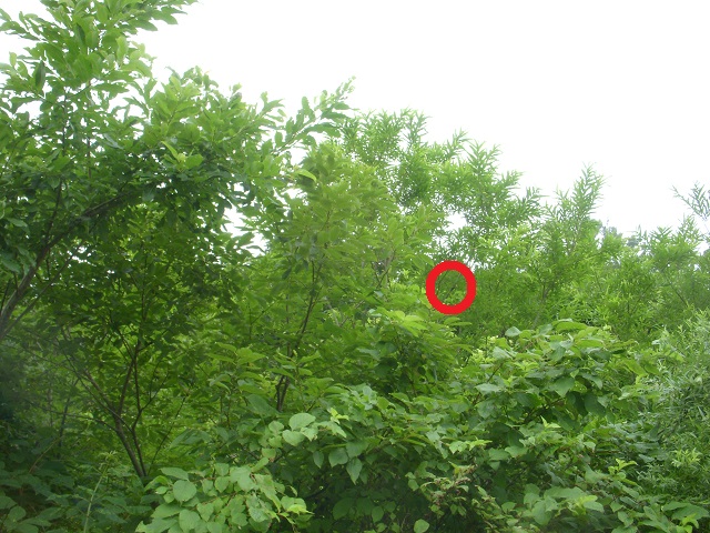 �q���I�I��