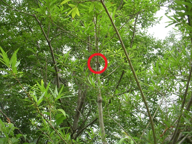 �q���I�I��