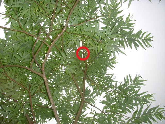 �q���I�I��