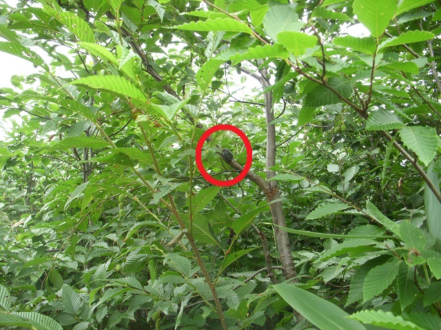 �q���I�I�y�A