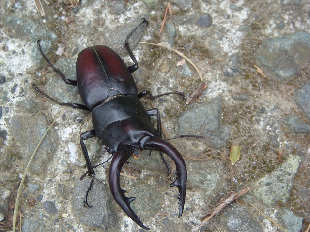 �m�R�M����