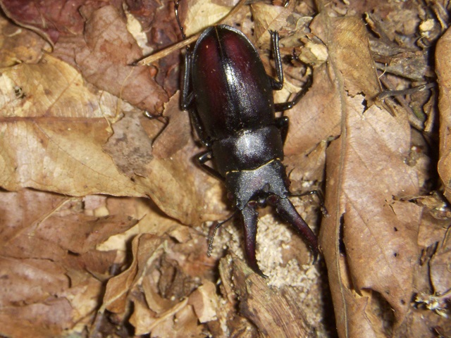 �m�R�M����