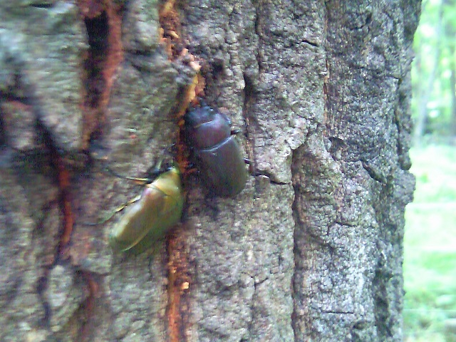 �m�R�M����