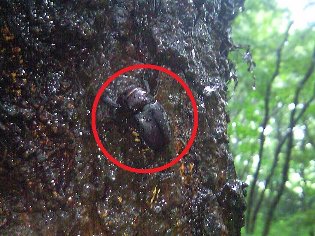 �m�R�M����