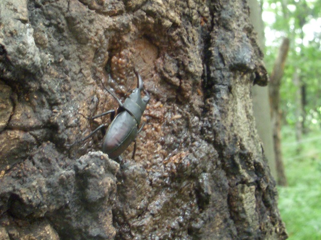 �m�R�M����