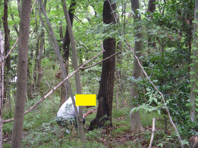 �В��ƃN�k�M��