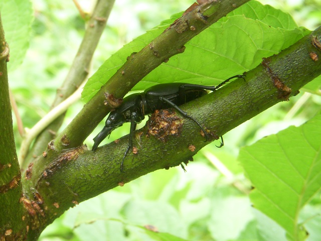 �q���I�I��