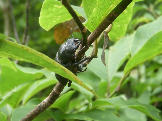 �q���I�I��