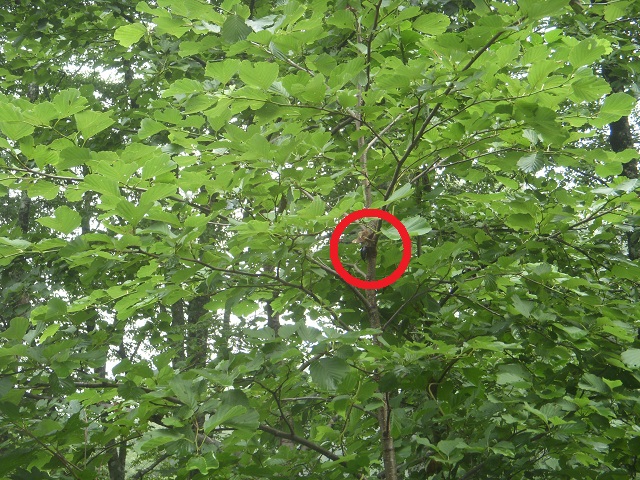 �q���I�I�y�A