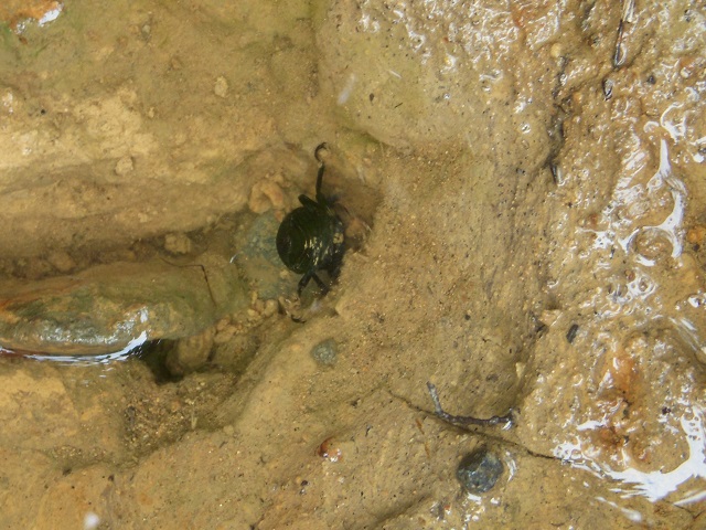 �S�y�̒��ւ�������^^;