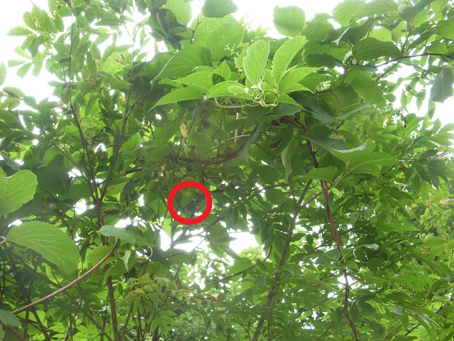 �q���I�I��