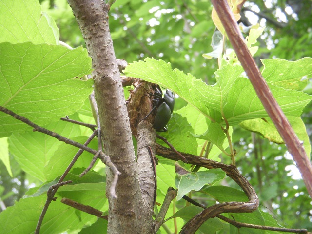 �q���I�I�y�A