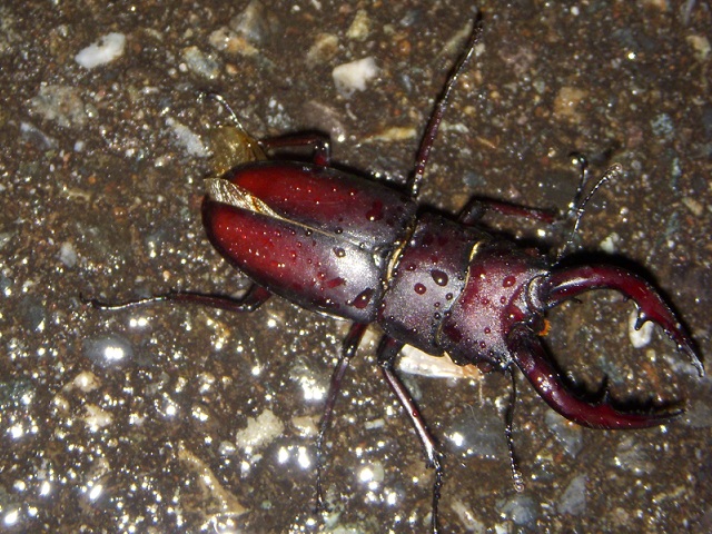 �m�R�M�� with �J