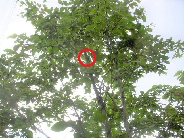 �q���I�I�y�A