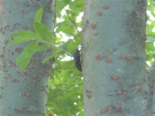 �q���I�I��