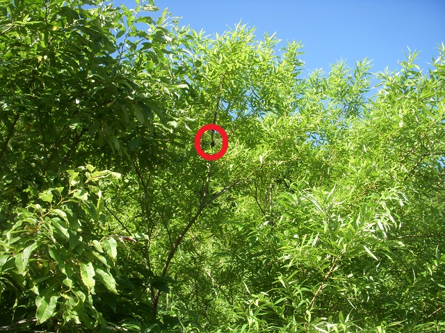 �q���I�I�y�A