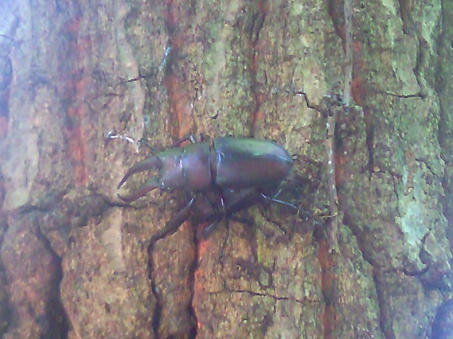 �m�R�M���y�A