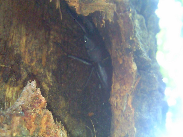 �m�R�M����