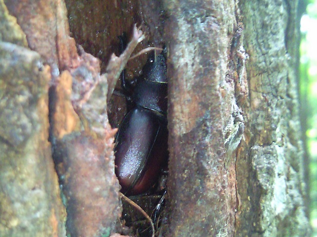 �m�R�M����