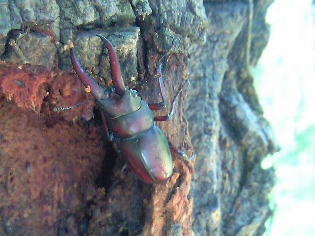 �m�R�M����