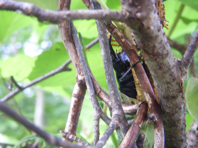 �q���I�I��