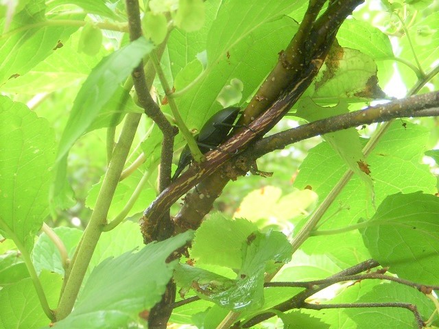 �q���I�I��