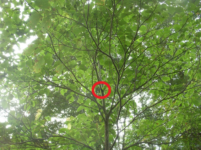 �q���I�I��