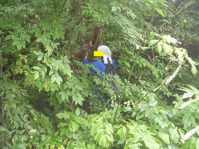 �Z�n������