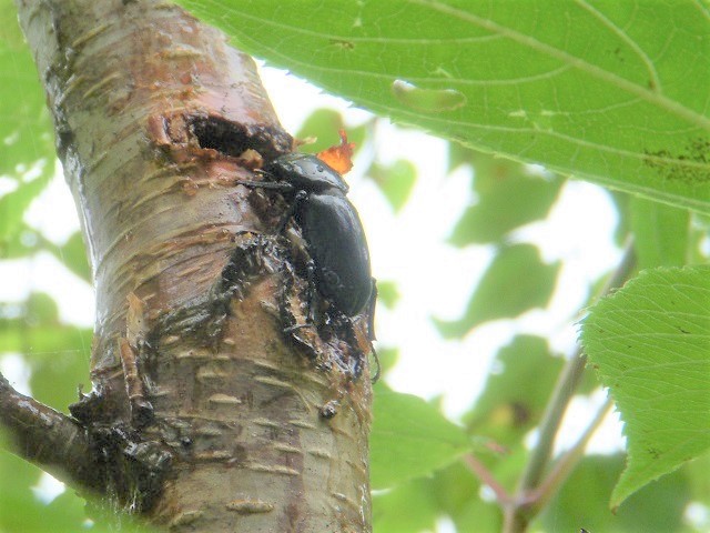 �q���I�I��