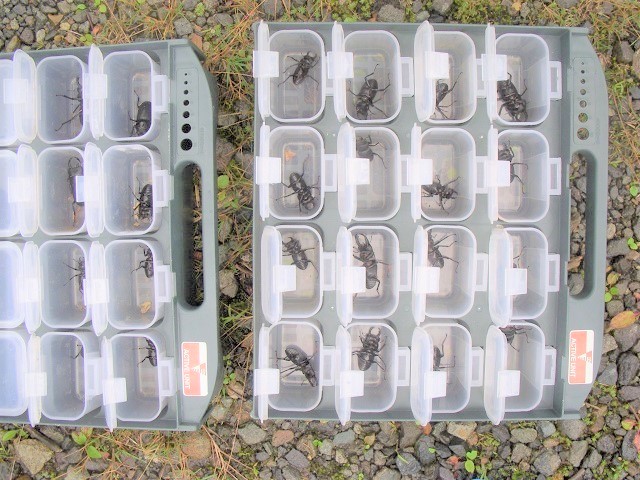 �q���I�I19����5����