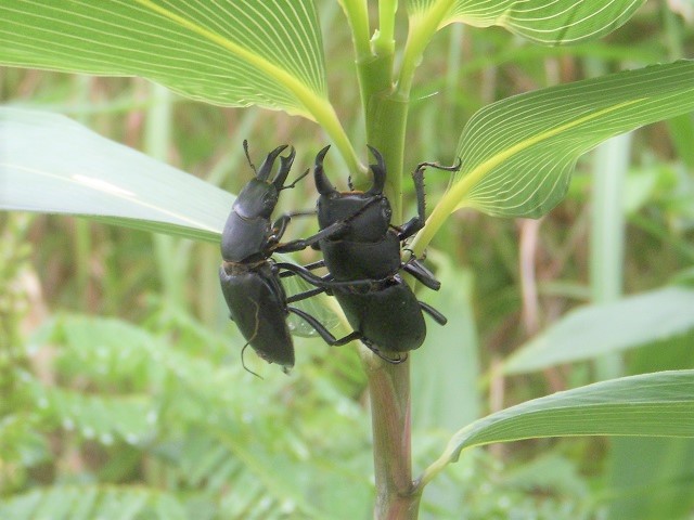 �q���I�I��x2�������Z