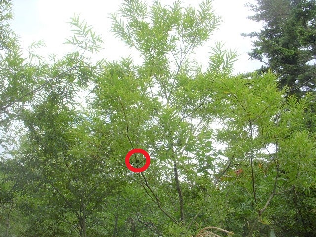 �q���I�I�y�A