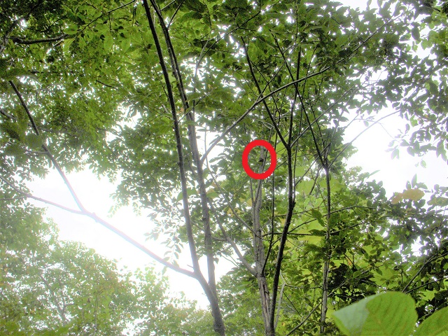 �q���I�I��