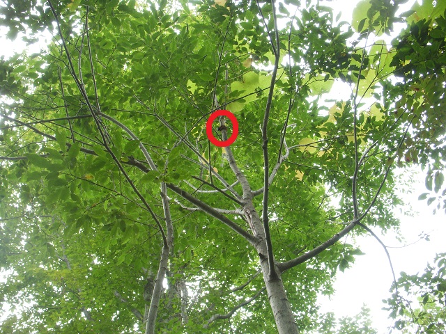 �q���I�I�y�A