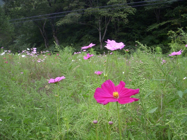 �R�X���X=�H��