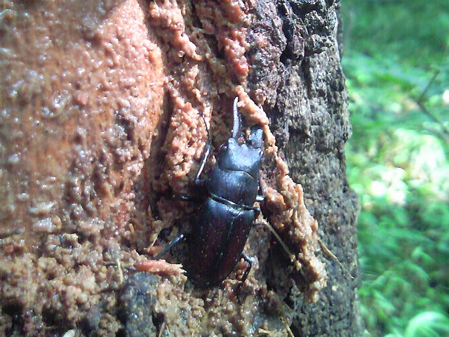 �m�R�M����