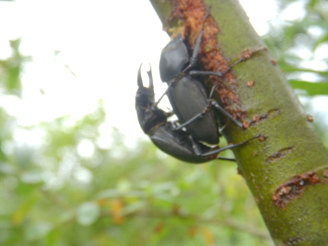 �q���I�I�y�A