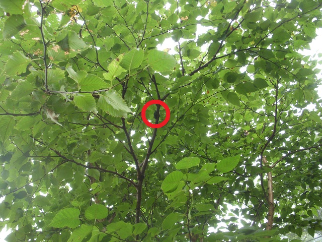 �q���I�I��