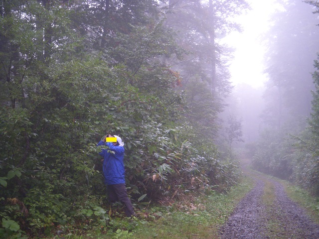 �Z�n������