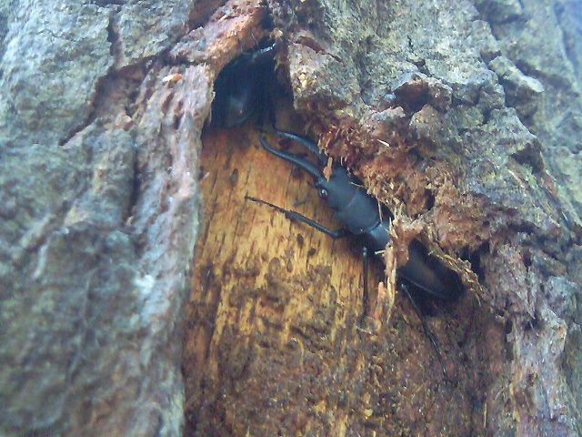 �m�R�M���y�A