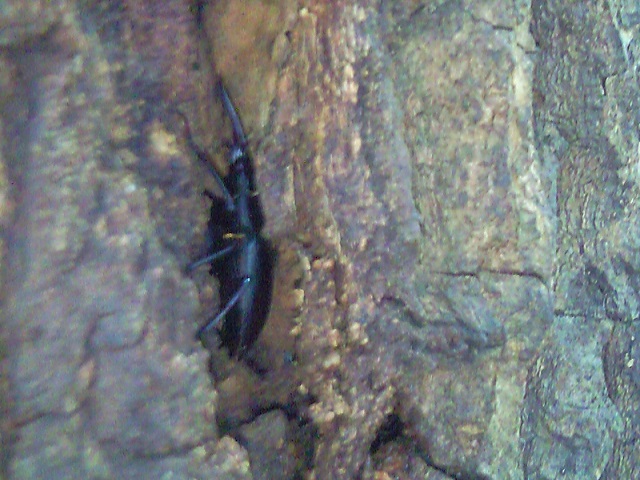 �m�R�M����