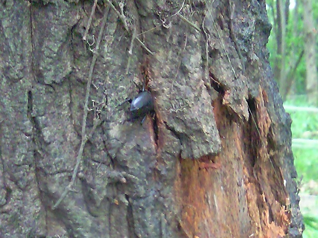 �m�R�M����