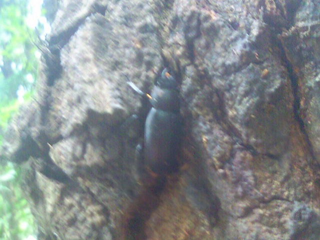 �m�R�M����