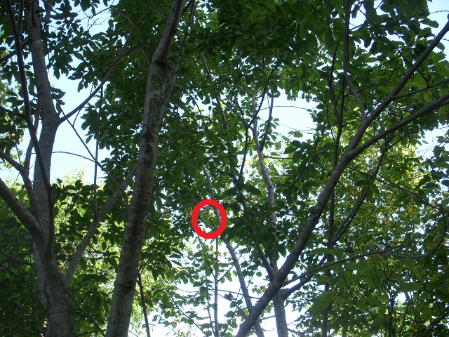 �q���I�I��