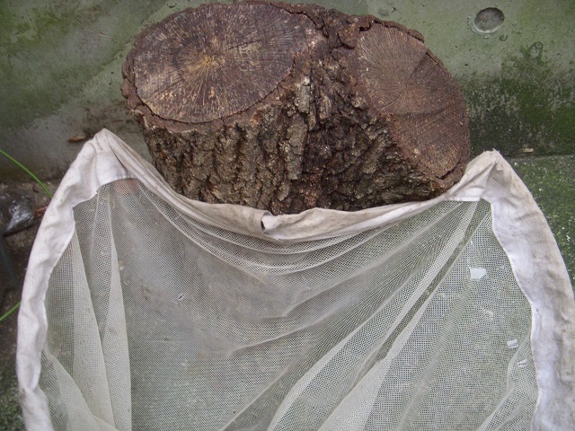 �S�����A�~